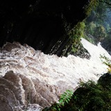 IMG_20131024_115251~01