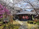 Fotor_155447344841557-1024x768