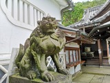 IMG_20190707_133144-1024x768