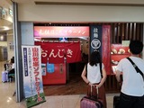IMG_20190907_121235-1024x768