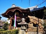 IMG_20190202_102503-800x600