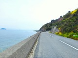 Fotor_149048918034653~01