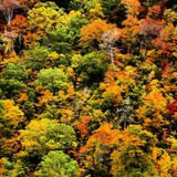 IMG_20141003_170652~01