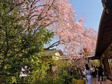 IMG_20190409_154322-1024x768