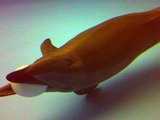 201111 106