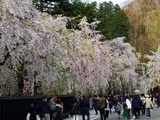 IMG_20190428_171129-1024x768