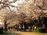 140411 008