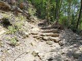 IMG_20190707_112449-1024x768