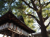 P1300165-800x600