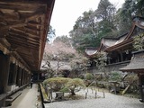 IMG_20190402_114508-1024x768