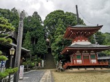 IMG_20220723_115010_copy_1024x768