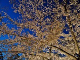 IMG_20190408_184800