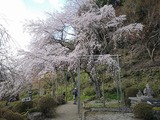 IMG_20190403_160400-1024x768