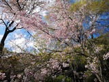 IMG_20190415_160426-1024x768