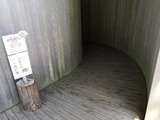 IMG_20190809_113249-1024x768