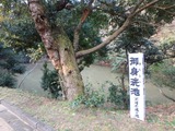 PC250137~01