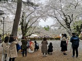 IMG_20190430_141817-1024x768