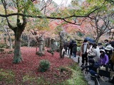 IMG_20201128_135650_copy_1024x768