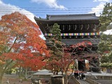 IMG_20201128_152609_copy_1024x768