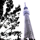 IMG_20130620_000217