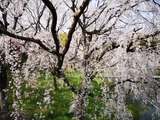 IMG_20190406_151235-1024x768
