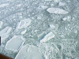 流氷