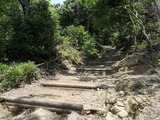 IMG_20190707_112656-1024x768