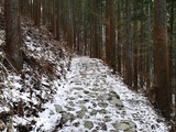 IMG_20190402_103016-1024x768