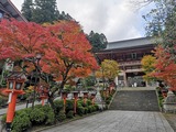 IMG_20201111_141512_copy_1024x768