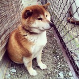 IMG_20130407_123917