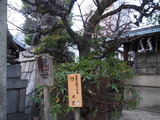 P1300035