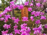 IMG_20220331_095853_copy_1024x768