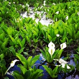 IMG_20130624_175846