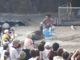 旭山動物園