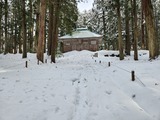 20250117_100844_copy_1024x768