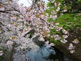 IMG_20190430_142415-1024x768