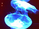 201111 122