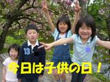 �Ҷ�����