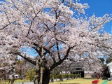 IMG_20190409_103629-1024x768