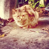 IMG_20121223_142701