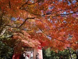 IMG_20211128_102759_copy_1024x768