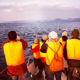 IMG_20131231_210638~01