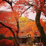 IMG_20131125_162736~01