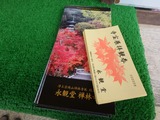 PB250013~01