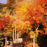 IMG_20131126_184237~01