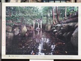IMG_20190131_002858