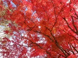 PB070028~01