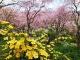 IMG_20190412_132455-1024x768