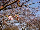 090411 025