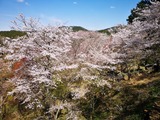 IMG_20190413_134043-1024x768
